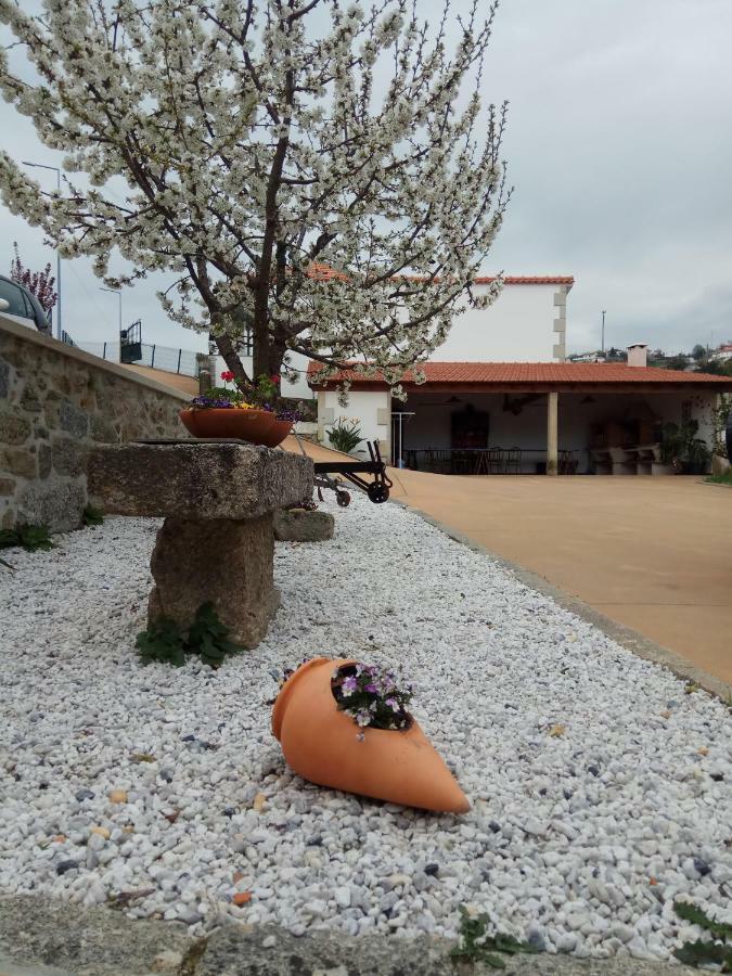 Вілла Casa Freitas Паредеш-де-Кора Екстер'єр фото